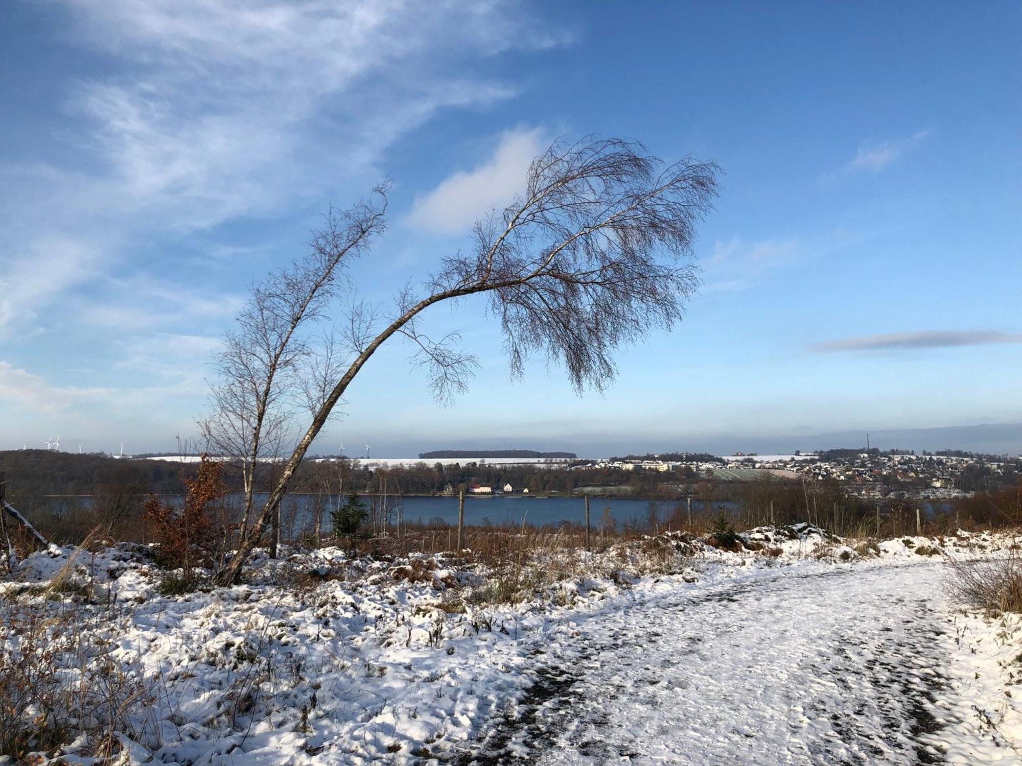 Ferienwohnung Koerbecke Am Mohnesee Bagian luar foto